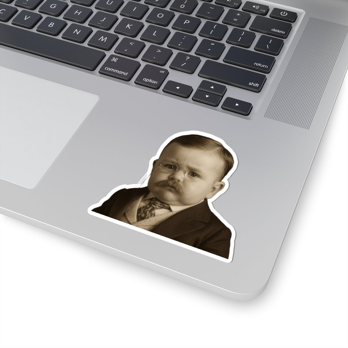 Stick It Like a Rough Rider Sticker - Theodore (Teddy) Roosevelt