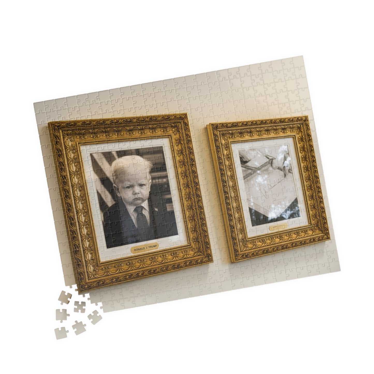 Golden Frame Walk Puzzle (520 Pieces) - Donald Trump + Joe Biden