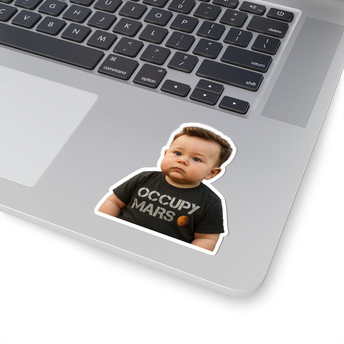 Micro-Colony: Occupy Whatever You Stick Sticker - Elon Musk