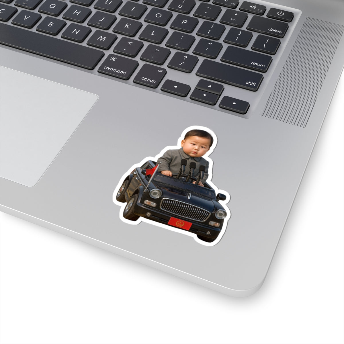 They See Me Rolling Sticker - Xi Jinping