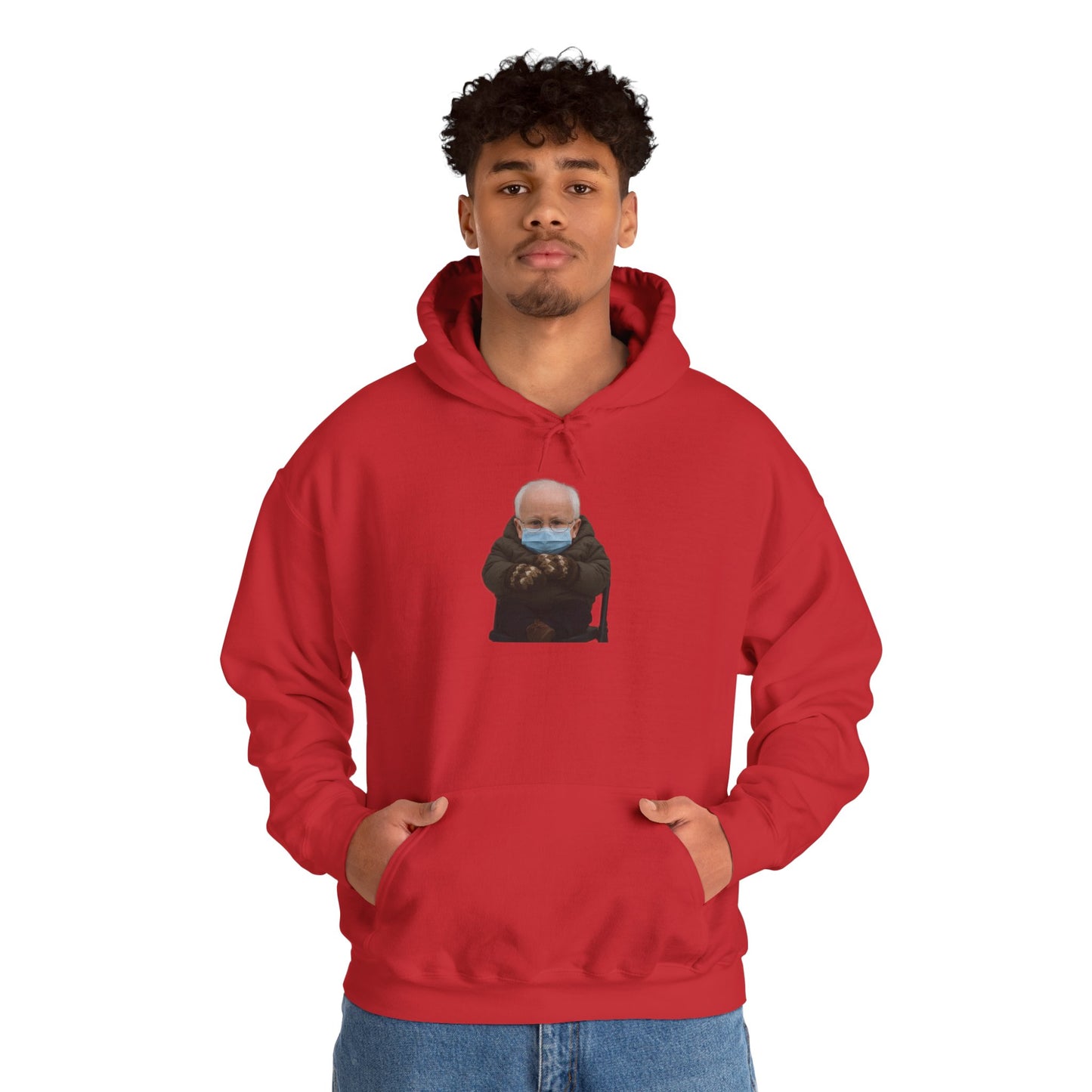 Mittens Hoodie -  Bernie Sanders