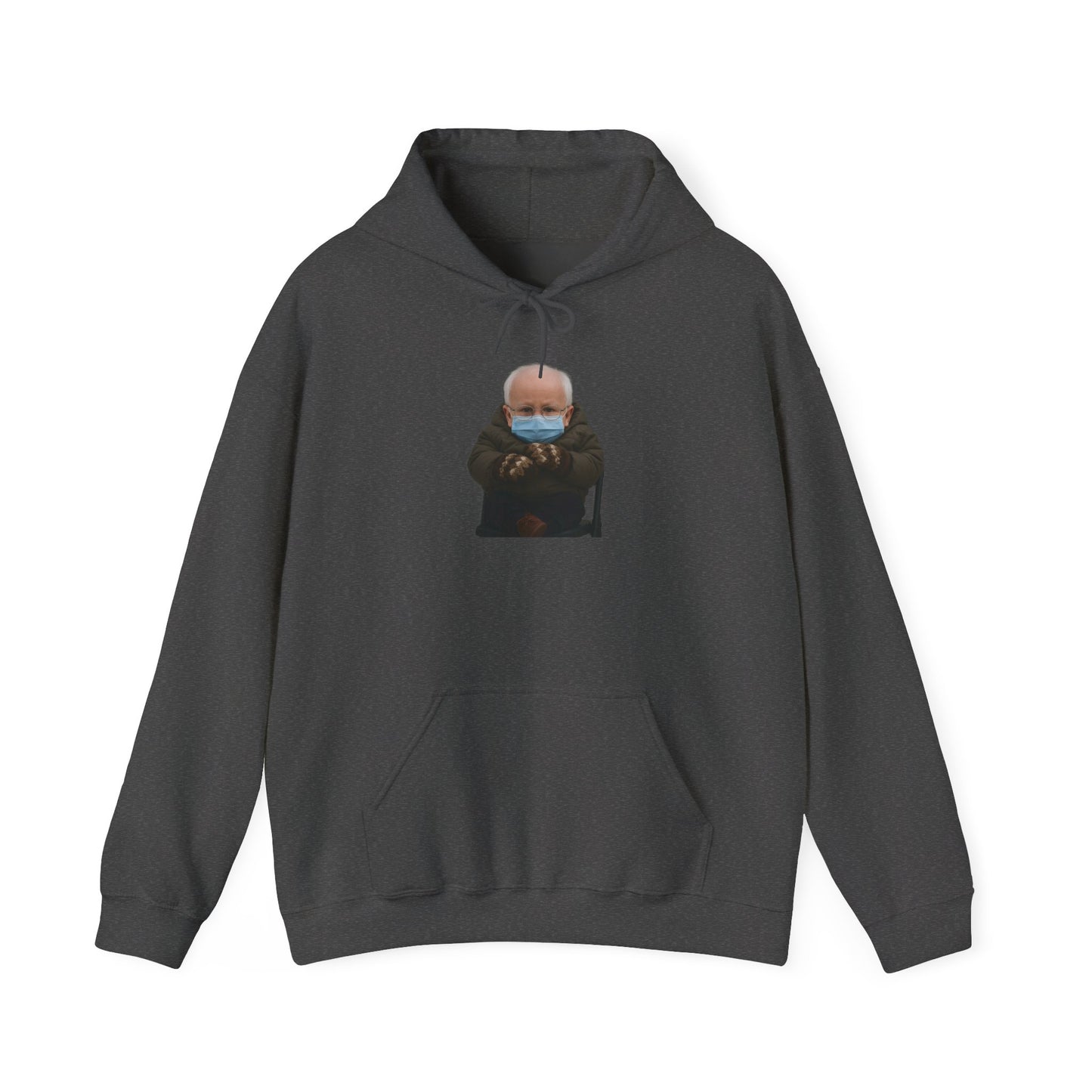 Mittens Hoodie -  Bernie Sanders