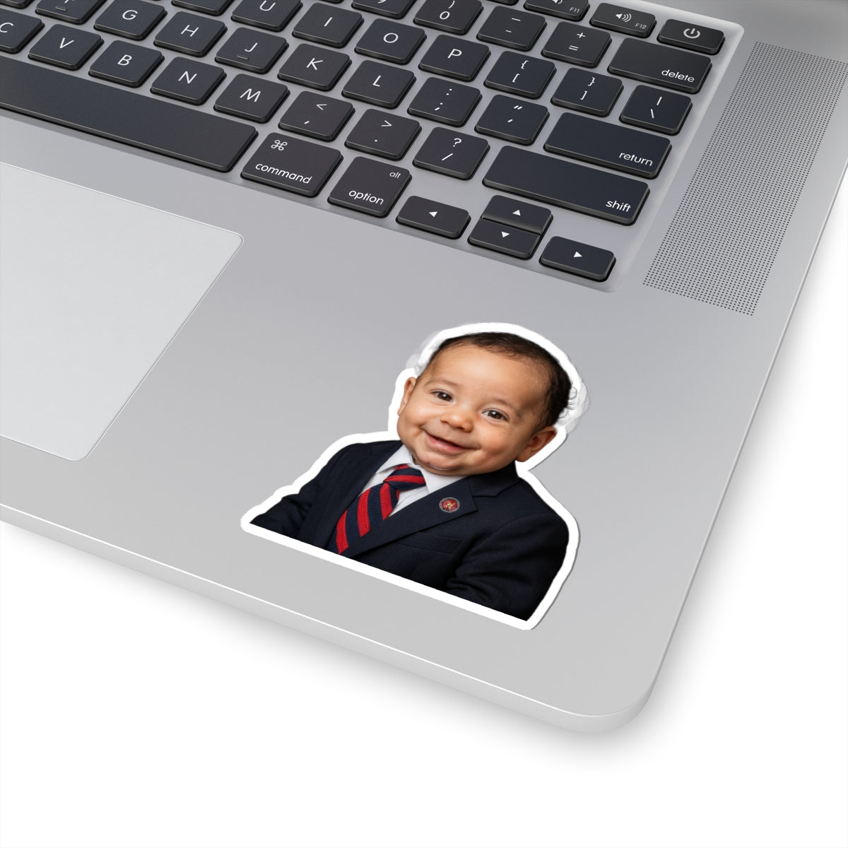 Sticker of the Union Sticker - Jamie Raskin